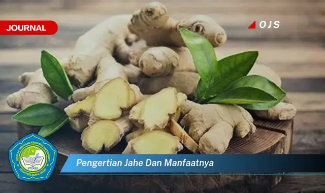 pengertian jahe dan manfaatnya