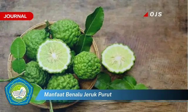 Temukan 6 Manfaat Benalu Jeruk Purut yang Jarang Diketahui - E-Journal