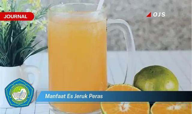 manfaat es jeruk peras