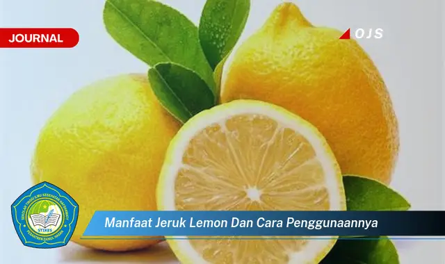 manfaat jeruk lemon dan cara penggunaannya manfaat jeruk lemon dan cara penggunaannya