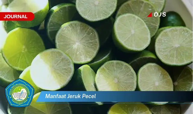 manfaat jeruk pecel manfaat jeruk pecel