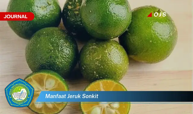 manfaat jeruk sonkit manfaat jeruk sonkit