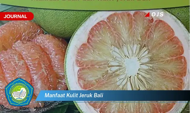 manfaat kulit jeruk bali