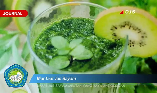manfaat jus bayam manfaat jus bayam