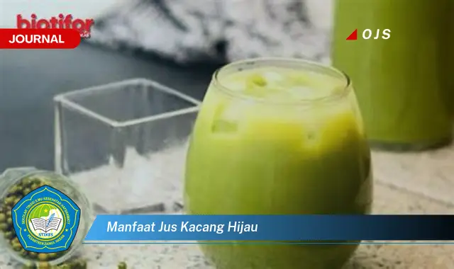 manfaat jus kacang hijau