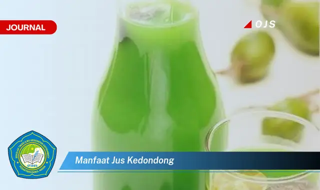 manfaat jus kedondong manfaat jus kedondong