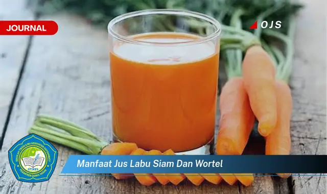 manfaat jus labu siam dan wortel