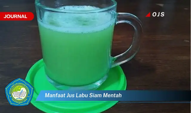 Intip 6 Manfaat Jus Labu Siam Mentah yang Bikin Kamu Penasaran - E-Journal