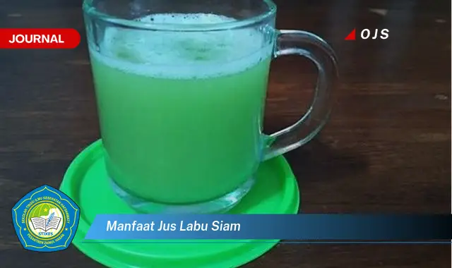 manfaat jus labu siam