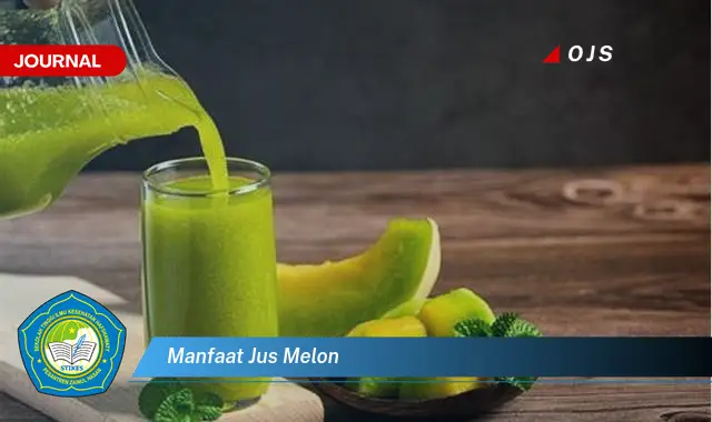 manfaat jus melon