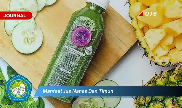 manfaat jus nanas dan timun manfaat jus nanas dan timun