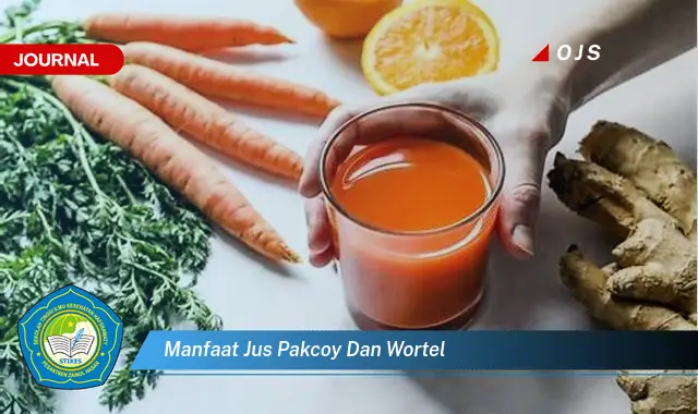 manfaat jus pakcoy dan wortel