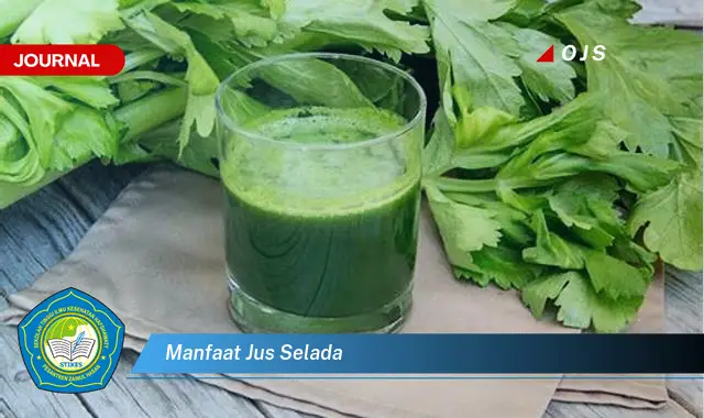 manfaat jus selada