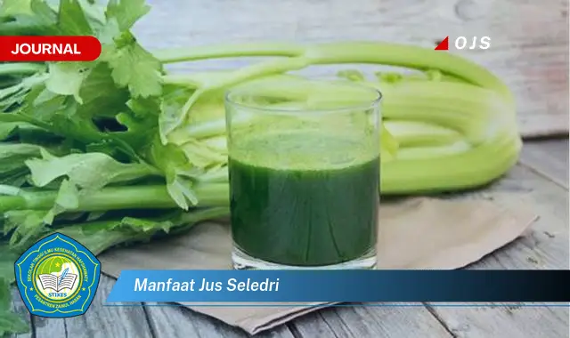 manfaat jus seledri