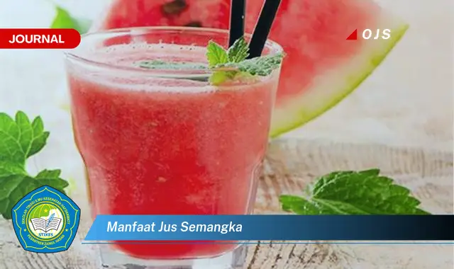 manfaat jus semangka