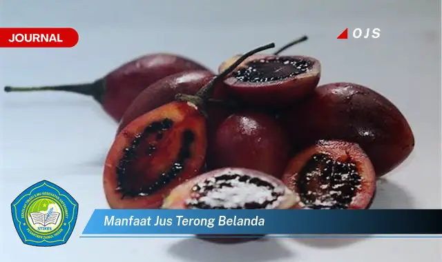 manfaat jus terong belanda