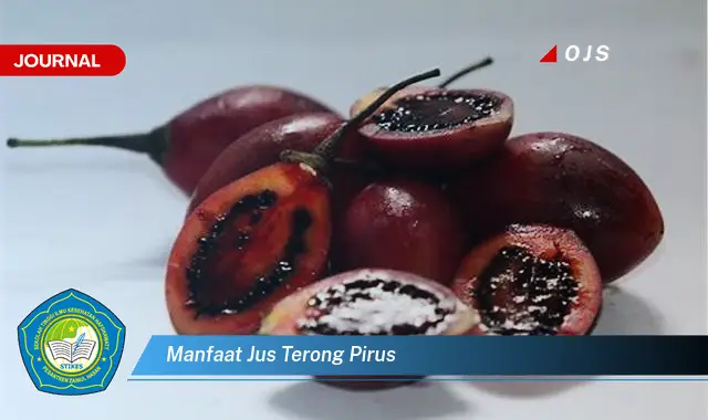 manfaat jus terong pirus