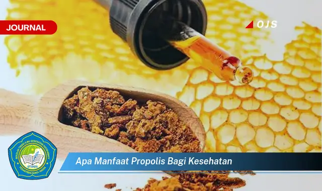 apa manfaat propolis bagi kesehatan