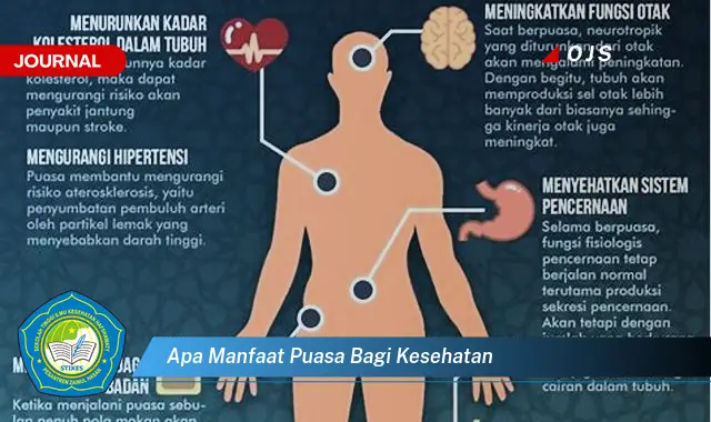 apa manfaat puasa bagi kesehatan