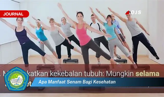 apa manfaat senam bagi kesehatan apa manfaat senam bagi kesehatan