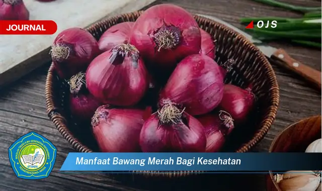 manfaat bawang merah bagi kesehatan