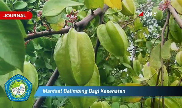 manfaat belimbing bagi kesehatan