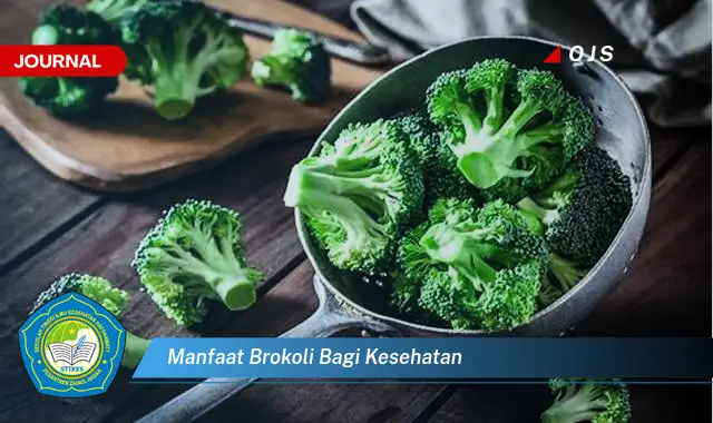 Intip 6 Manfaat Brokoli bagi Kesehatan yang Bikin Kamu Penasaran - E-Journal