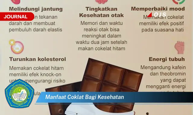 manfaat coklat bagi kesehatan