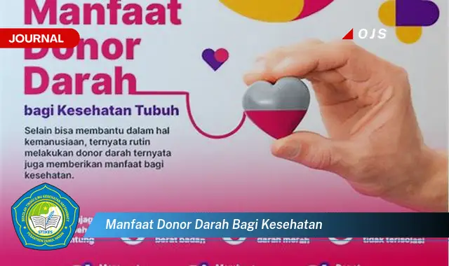 manfaat donor darah bagi kesehatan