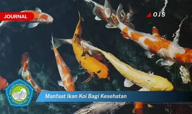 manfaat ikan koi bagi kesehatan