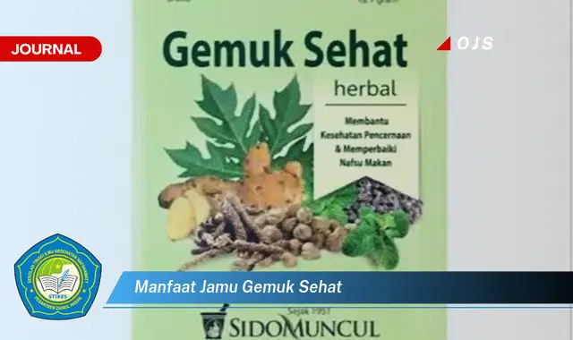 manfaat jamu gemuk sehat