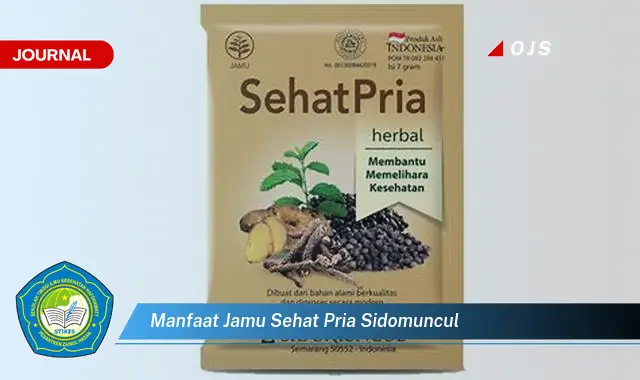 manfaat jamu sehat pria sidomuncul