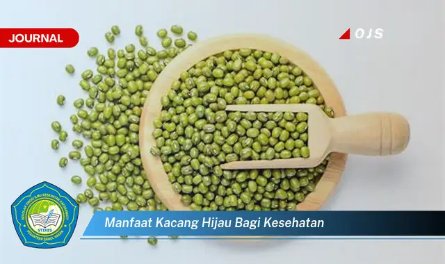 Ketahui 6 Manfaat Kacang Hijau Bagi Kesehatan yang Bikin Kamu Penasaran - E-Journal