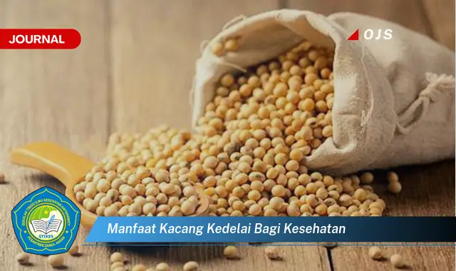 manfaat kacang kedelai bagi kesehatan