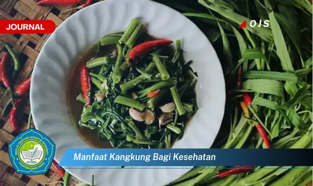 manfaat kangkung bagi kesehatan