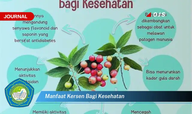 manfaat kersen bagi kesehatan