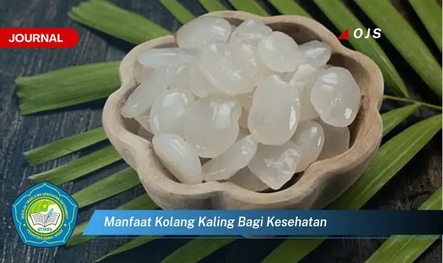 manfaat kolang kaling bagi kesehatan manfaat kolang kaling bagi kesehatan