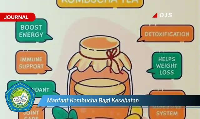 manfaat kombucha bagi kesehatan