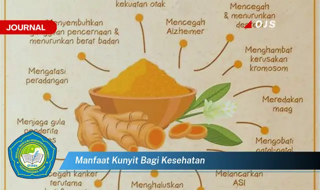 manfaat kunyit bagi kesehatan