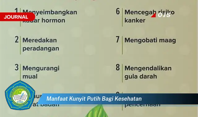 manfaat kunyit putih bagi kesehatan