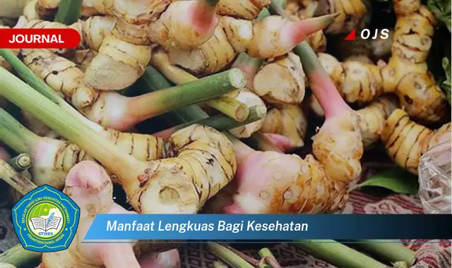 manfaat lengkuas bagi kesehatan