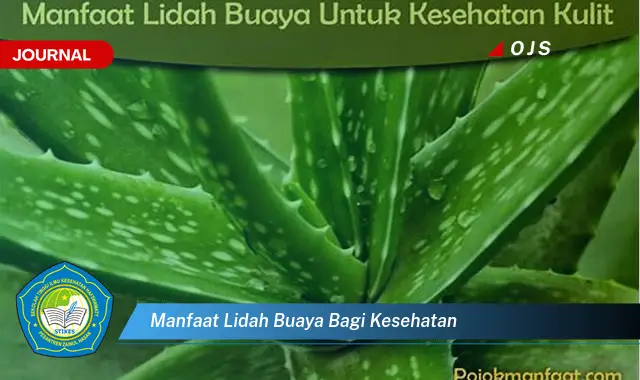 manfaat lidah buaya bagi kesehatan