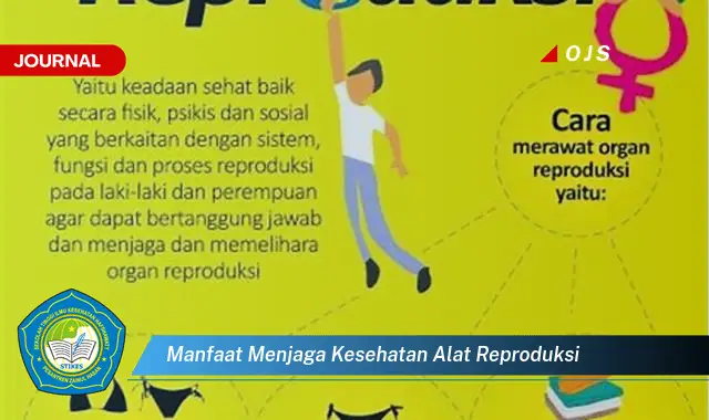 manfaat menjaga kesehatan alat reproduksi