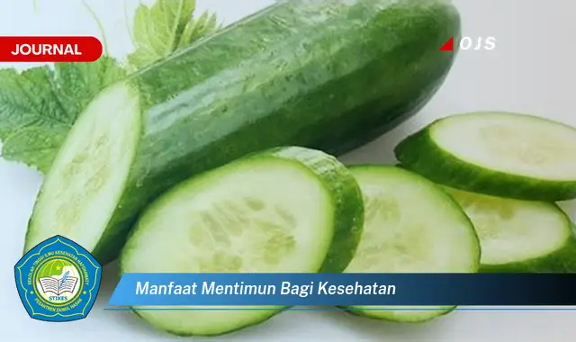 manfaat mentimun bagi kesehatan