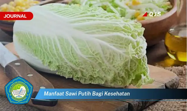 manfaat sawi putih bagi kesehatan manfaat sawi putih bagi kesehatan