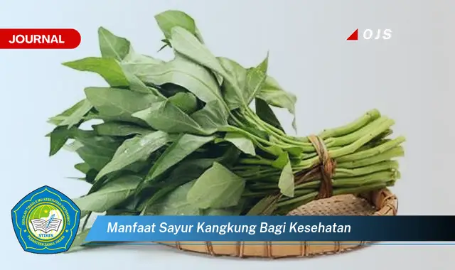 manfaat sayur kangkung bagi kesehatan