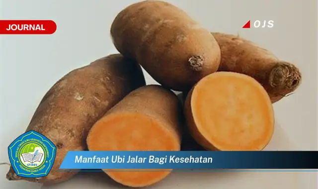 manfaat ubi jalar bagi kesehatan