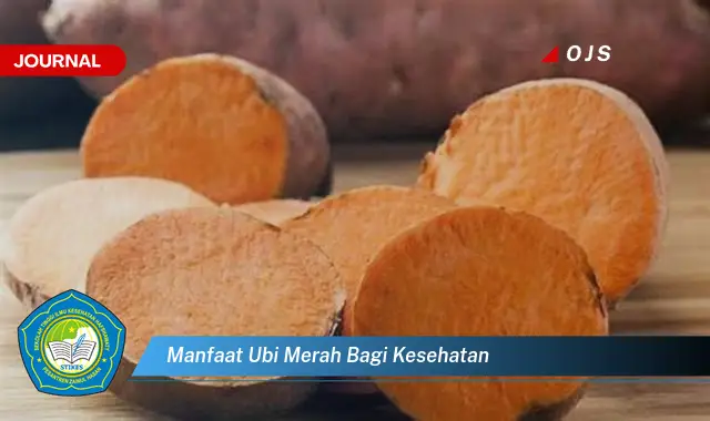 manfaat ubi merah bagi kesehatan