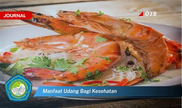 manfaat udang bagi kesehatan manfaat udang bagi kesehatan