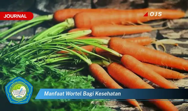 Intip 6 Manfaat Wortel Bagi Kesehatan yang Wajib Kamu Intip - E-Journal